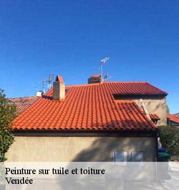Peinture sur tuile et toiture