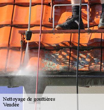 Nettoyage de gouttières
