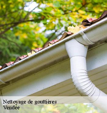 Nettoyage de gouttières