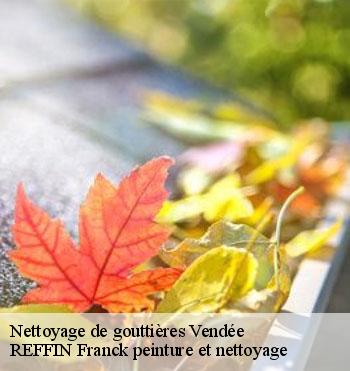 Nettoyage de gouttières