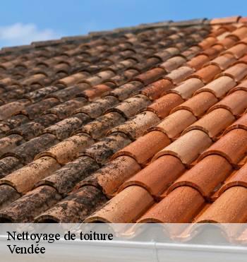 Nettoyage de toiture