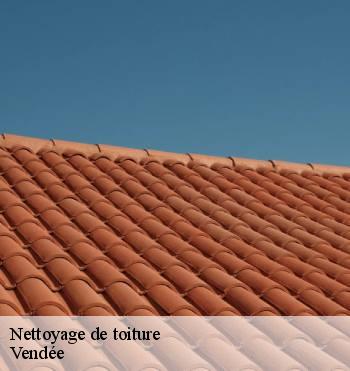 Nettoyage de toiture