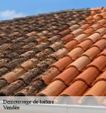 Demoussage de toiture
