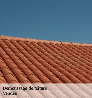 Demoussage de toiture