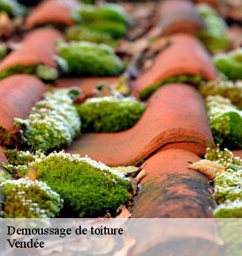 Demoussage de toiture