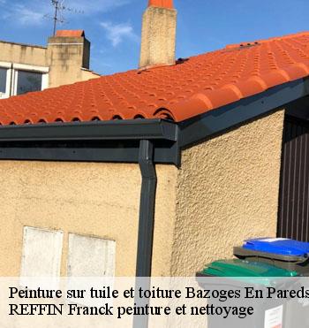 Peinture sur tuile et toiture