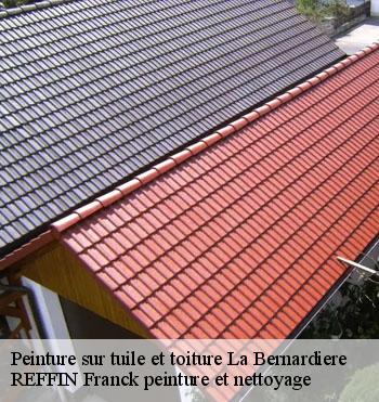 Peinture sur tuile et toiture