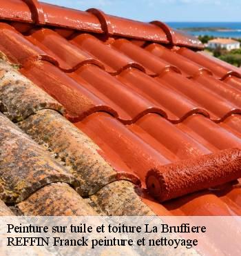 Peinture sur tuile et toiture
