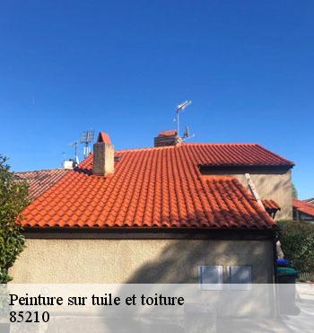 Peinture sur tuile et toiture