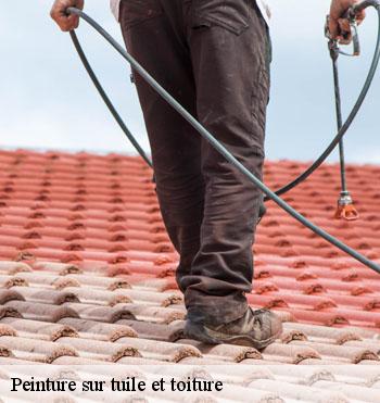 Peinture sur tuile et toiture
