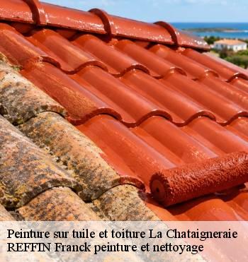 Peinture sur tuile et toiture