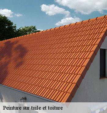 Peinture sur tuile et toiture