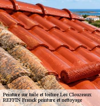 Peinture sur tuile et toiture