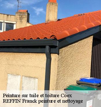 Peinture sur tuile et toiture