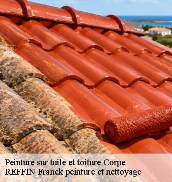 Peinture sur tuile et toiture