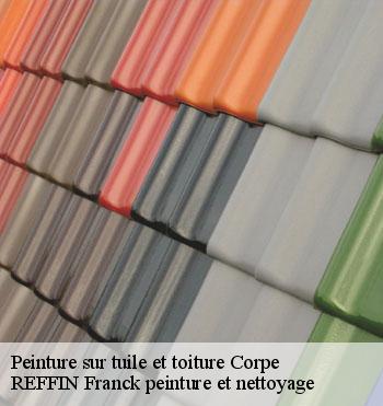 Peinture sur tuile et toiture