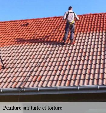 Peinture sur tuile et toiture