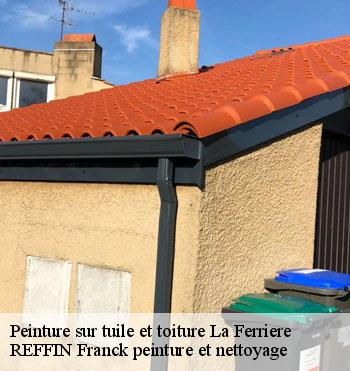 Peinture sur tuile et toiture