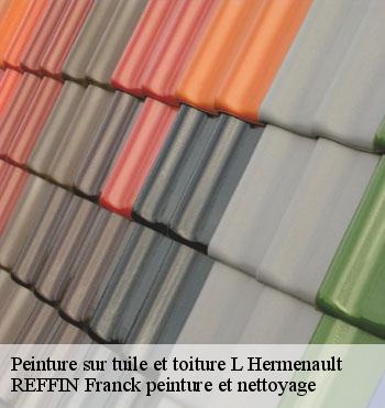 Peinture sur tuile et toiture