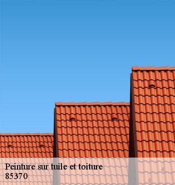 Peinture sur tuile et toiture