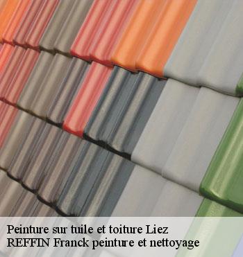 Peinture sur tuile et toiture