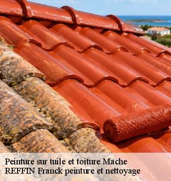 Peinture sur tuile et toiture