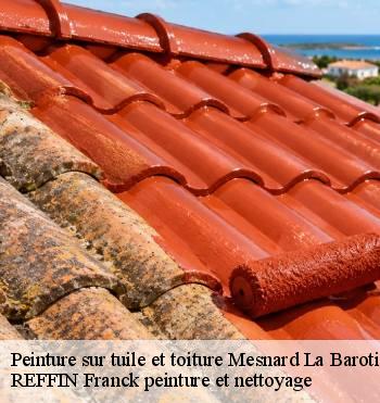 Peinture sur tuile et toiture