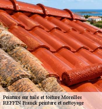 Peinture sur tuile et toiture