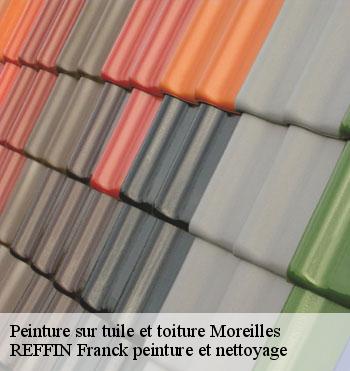 Peinture sur tuile et toiture