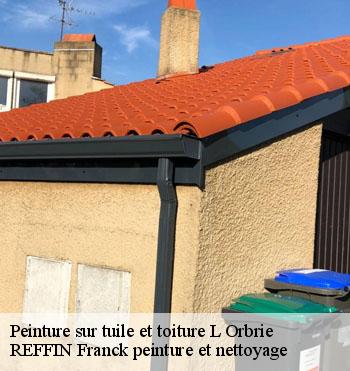 Peinture sur tuile et toiture