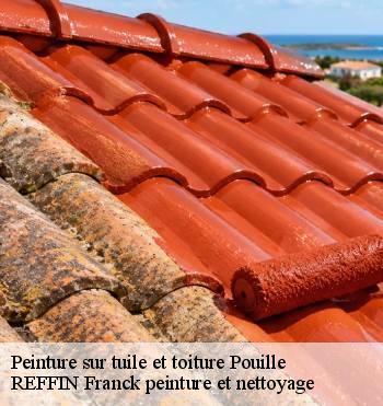 Peinture sur tuile et toiture