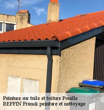Peinture sur tuile et toiture