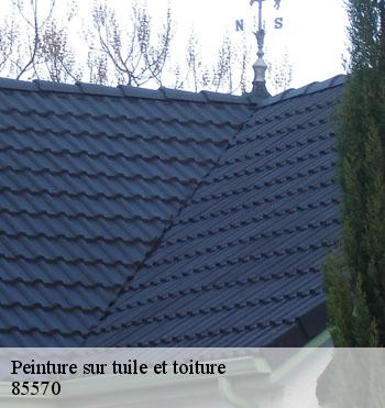 Peinture sur tuile et toiture
