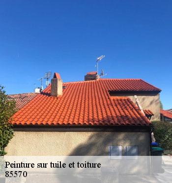 Peinture sur tuile et toiture
