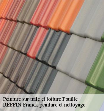 Peinture sur tuile et toiture