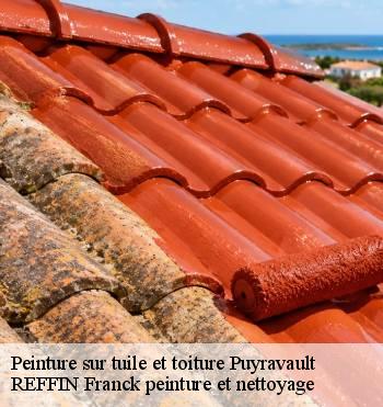 Peinture sur tuile et toiture