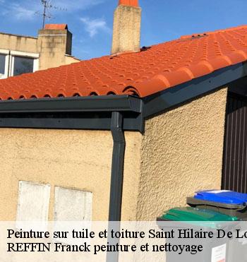 Peinture sur tuile et toiture
