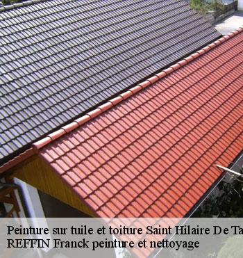 Peinture sur tuile et toiture