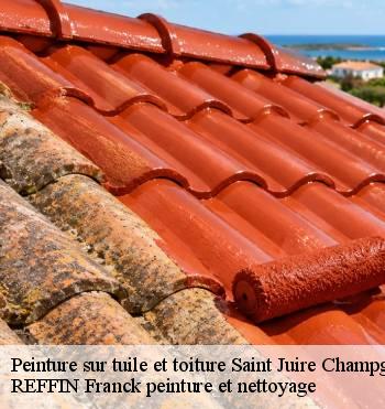 Peinture sur tuile et toiture