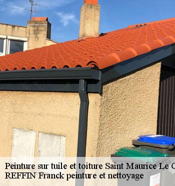 Peinture sur tuile et toiture