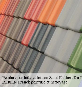 Peinture sur tuile et toiture
