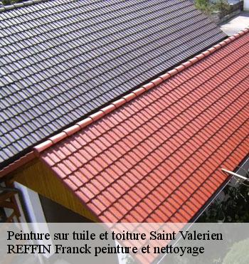 Peinture sur tuile et toiture