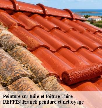 Peinture sur tuile et toiture