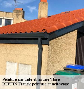 Peinture sur tuile et toiture