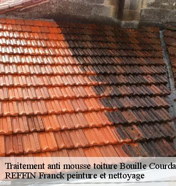 Traitement anti mousse toiture