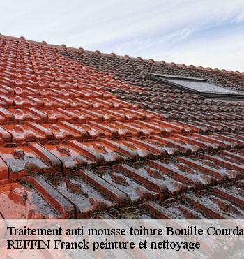 Traitement anti mousse toiture