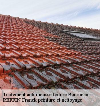 Traitement anti mousse toiture