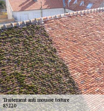 Traitement anti mousse toiture