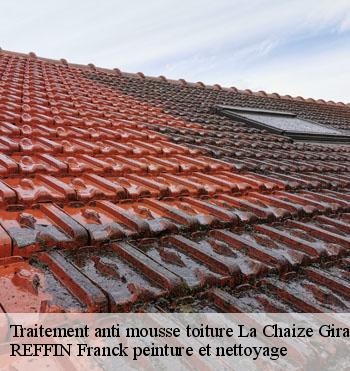Traitement anti mousse toiture