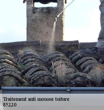 Traitement anti mousse toiture